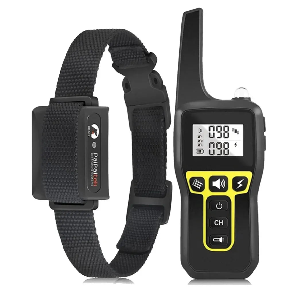 Collier Dressage Chien 1000m Étanche