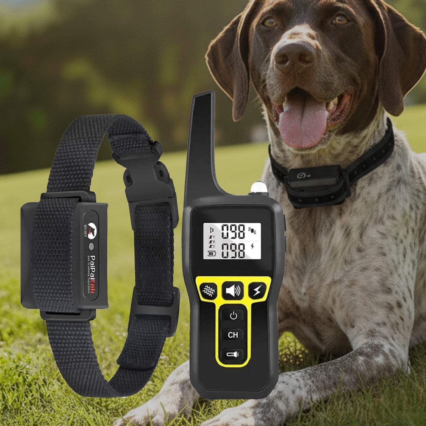 Collier Dressage Chien 1000m Étanche