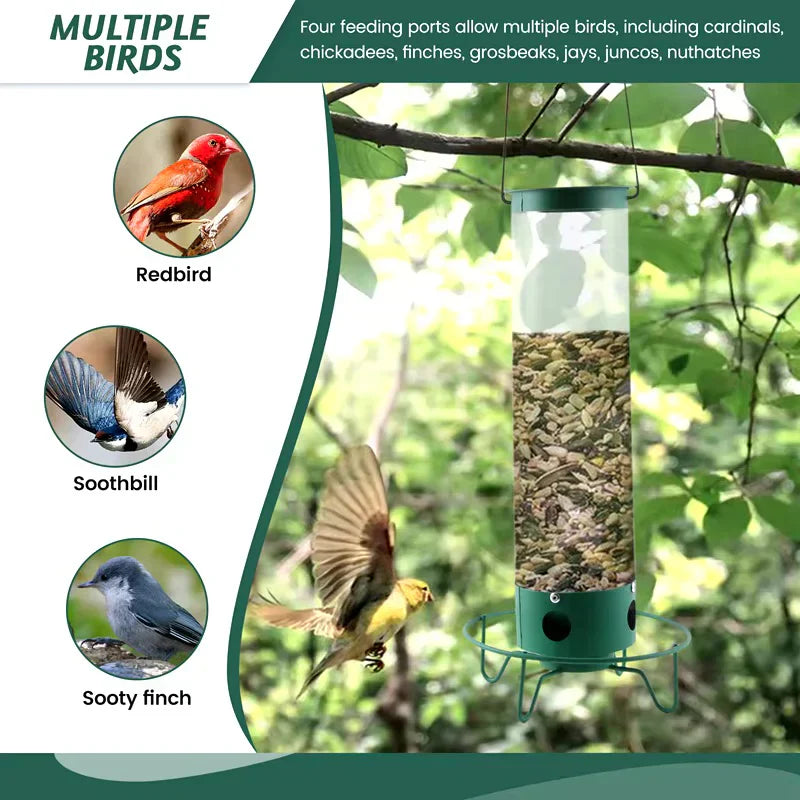 Mangeoire Oiseaux Anti-Écureuil Rotative