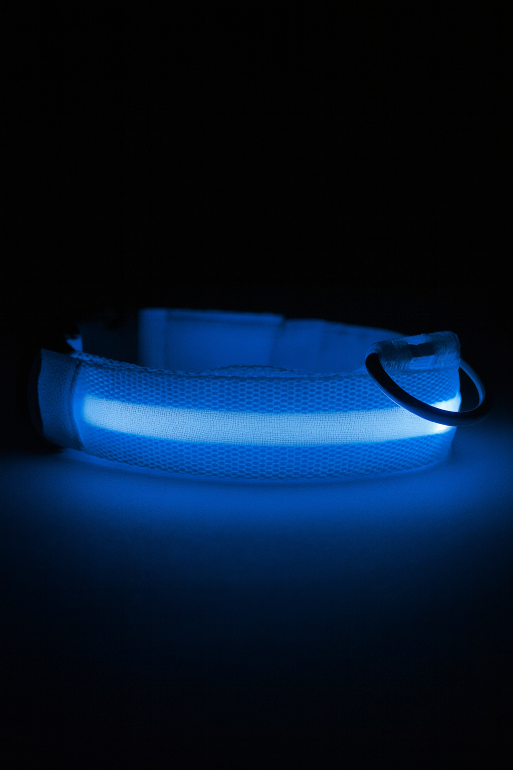 Bleu / XL