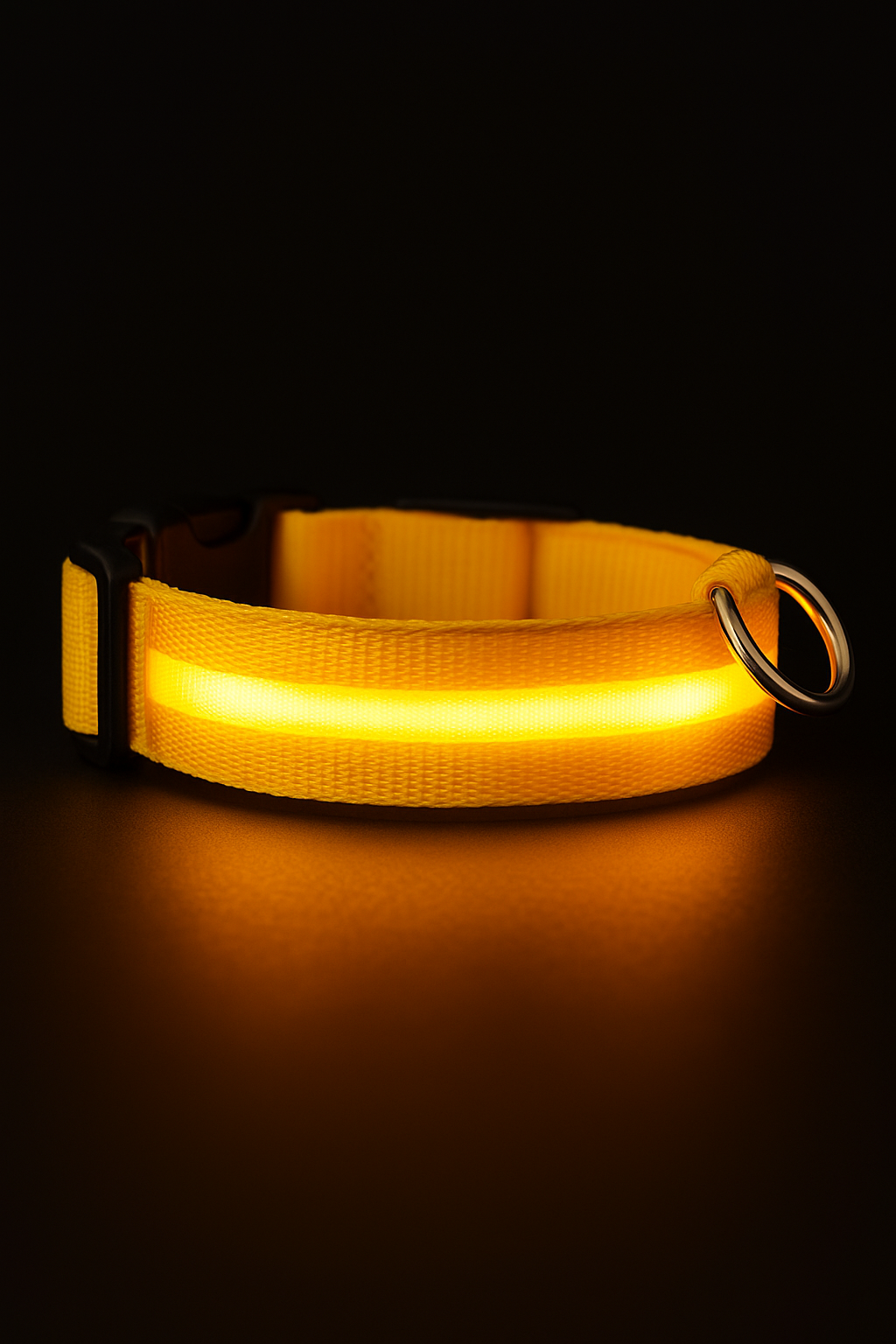 Collier LED Rechargeable Chien Visible