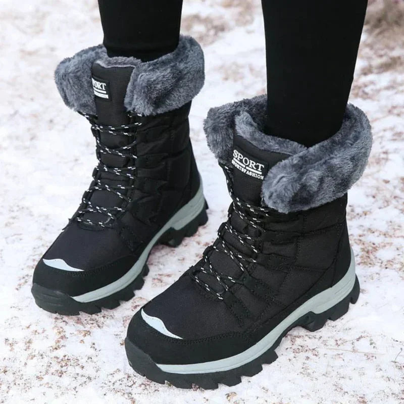 Noir / 42