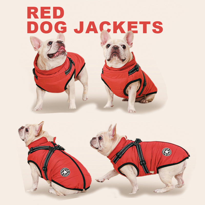Veste Chien Imperméable Harnais Intégré