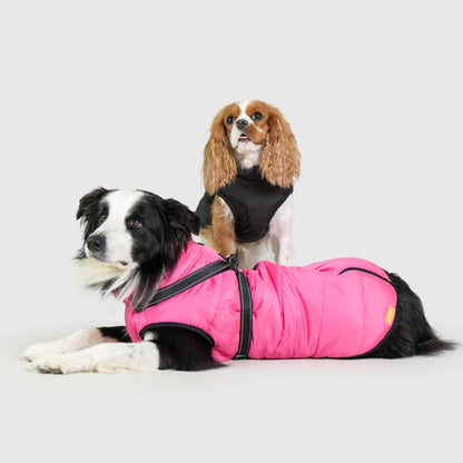 Veste Chien Imperméable Harnais Intégré