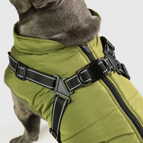Veste Chien Imperméable Harnais Intégré