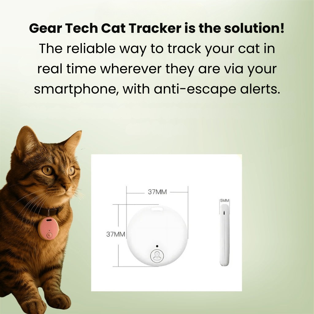 Traceur GPS Chat Sans Abonnement