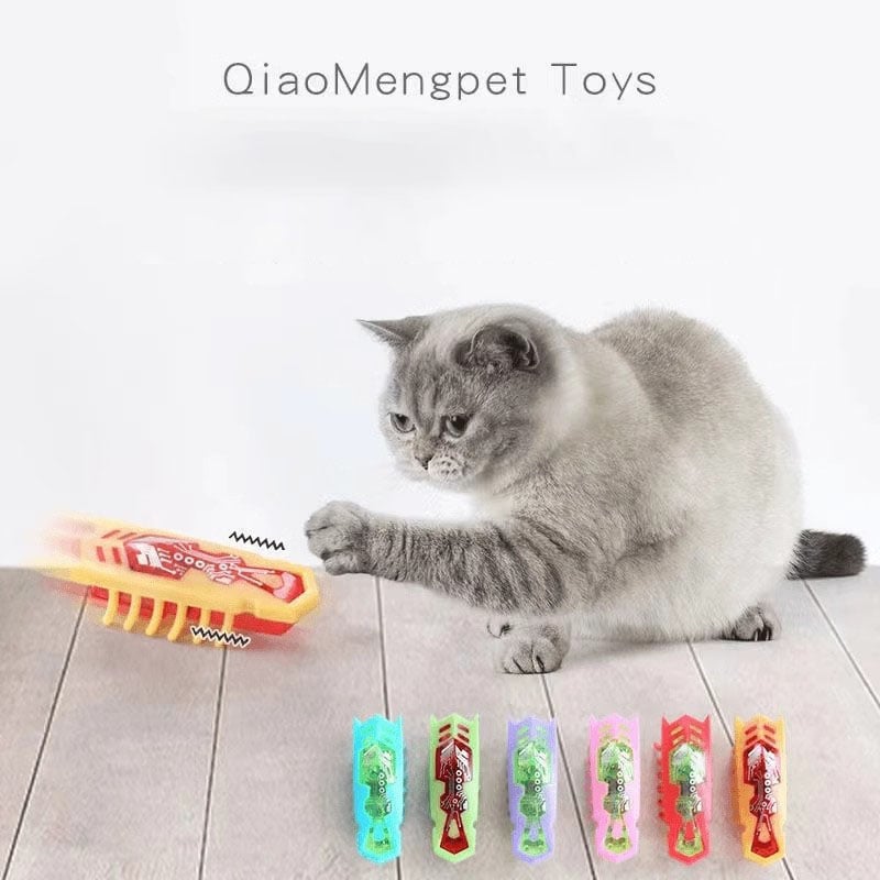 Insecte Électrique Interactif pour Chat