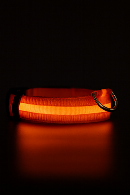 Collier LED Rechargeable Chien Visible