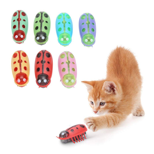 Insecte Électrique Interactif pour Chat
