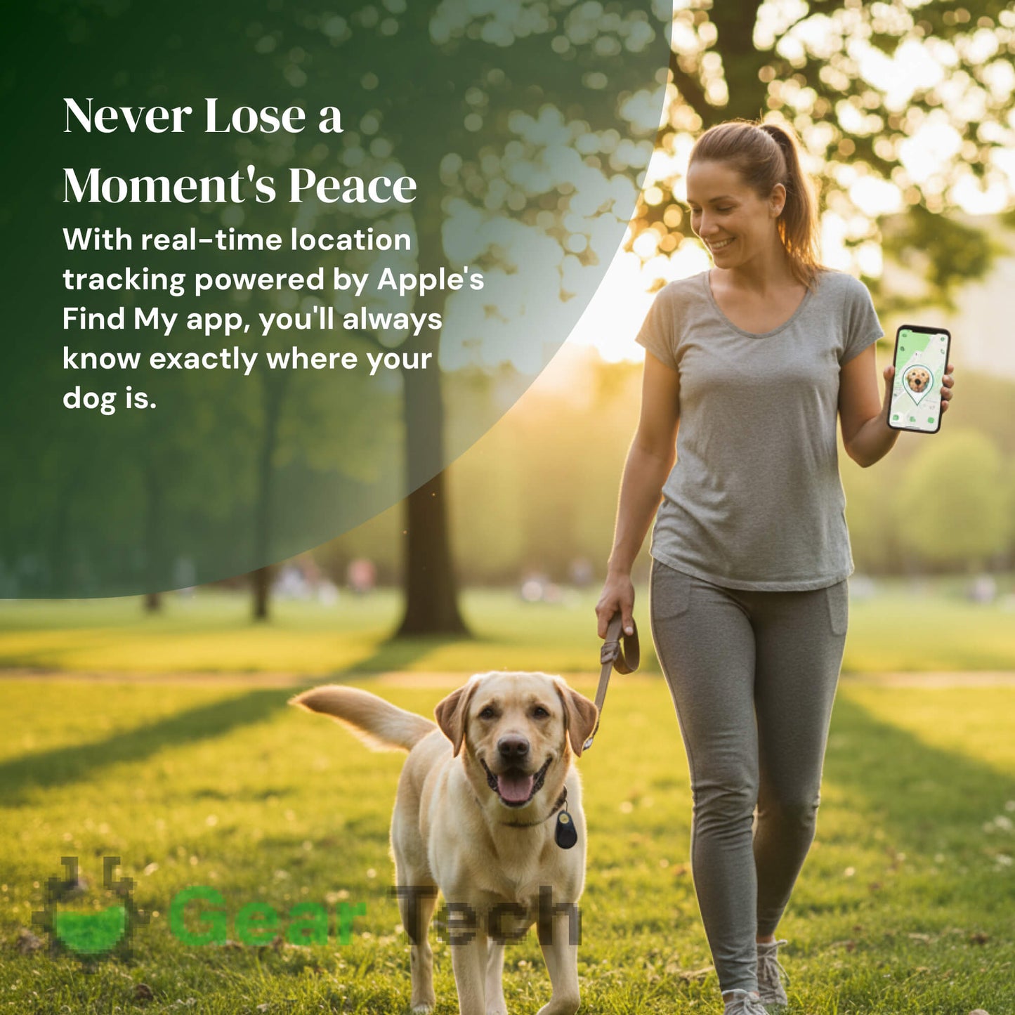 Traceur Chien Find My Sans Abonnement