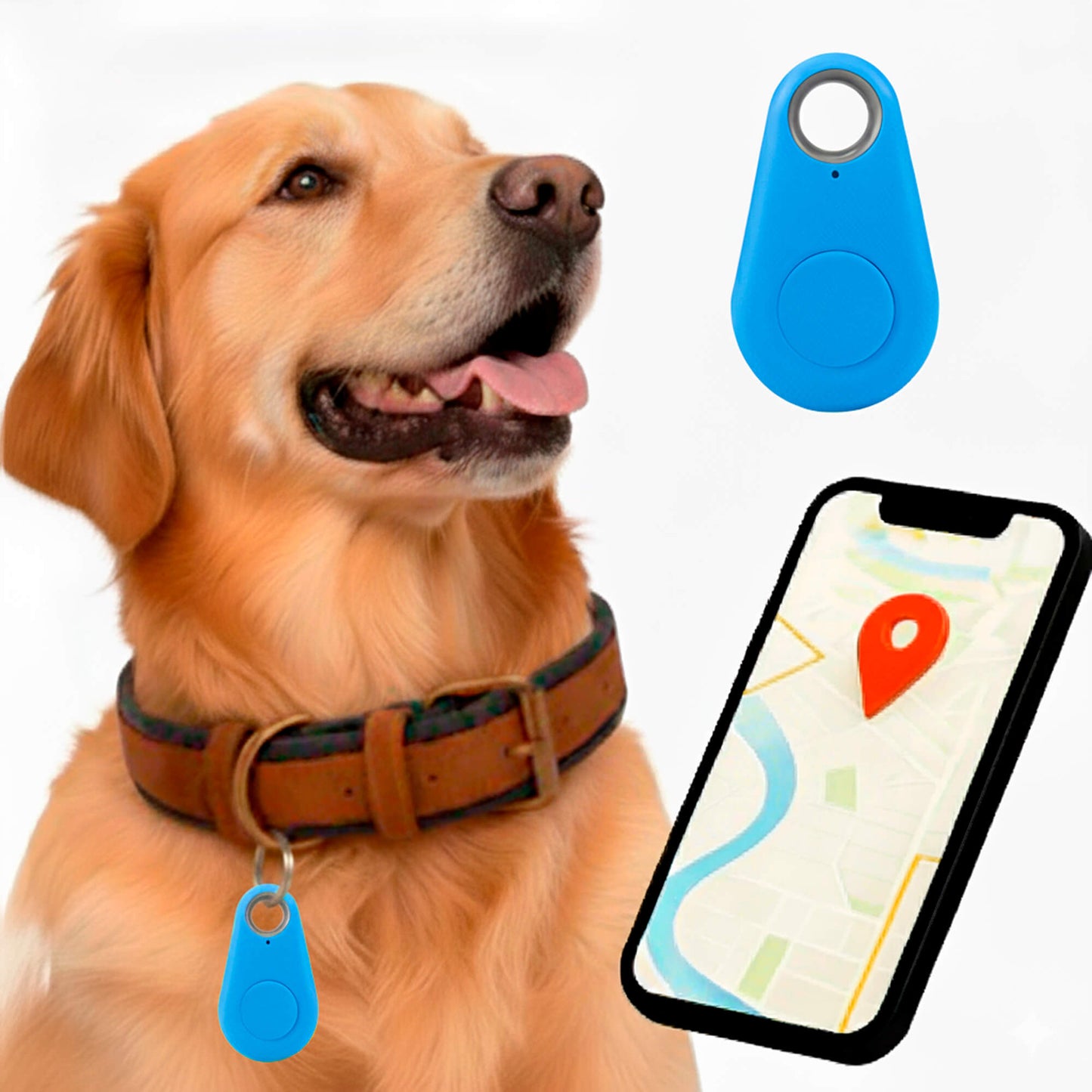 Traceur Chien Find My Sans Abonnement