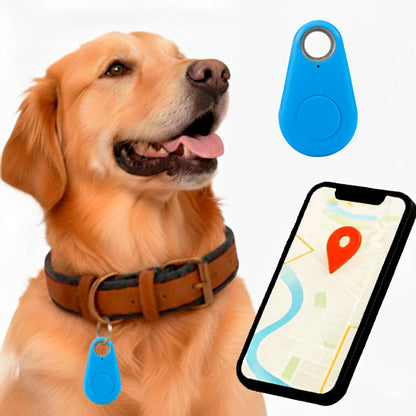 Traceur Chien Find My Sans Abonnement