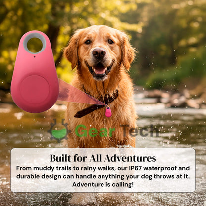 Traceur Chien Find My Sans Abonnement