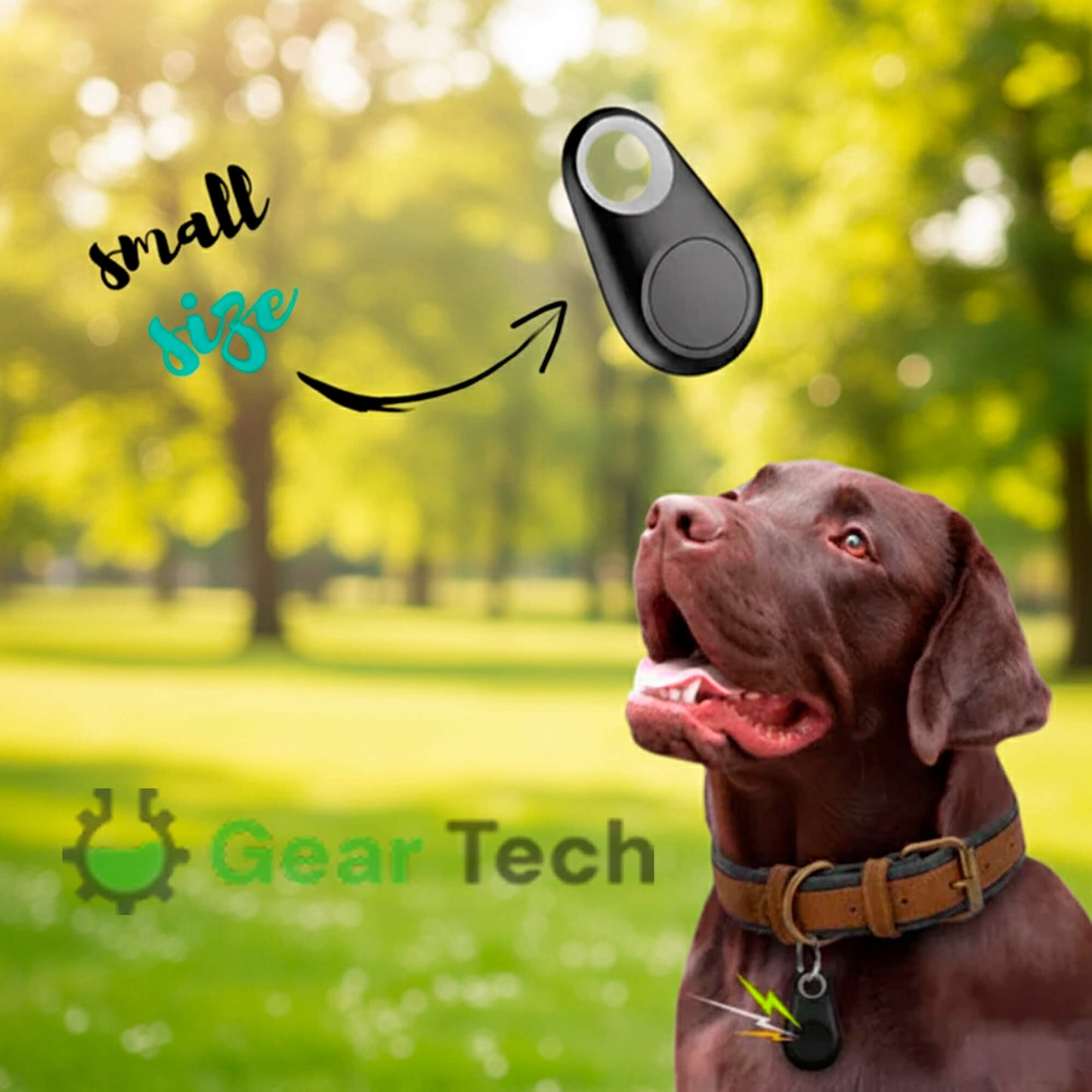 Traceur Chien Find My Sans Abonnement