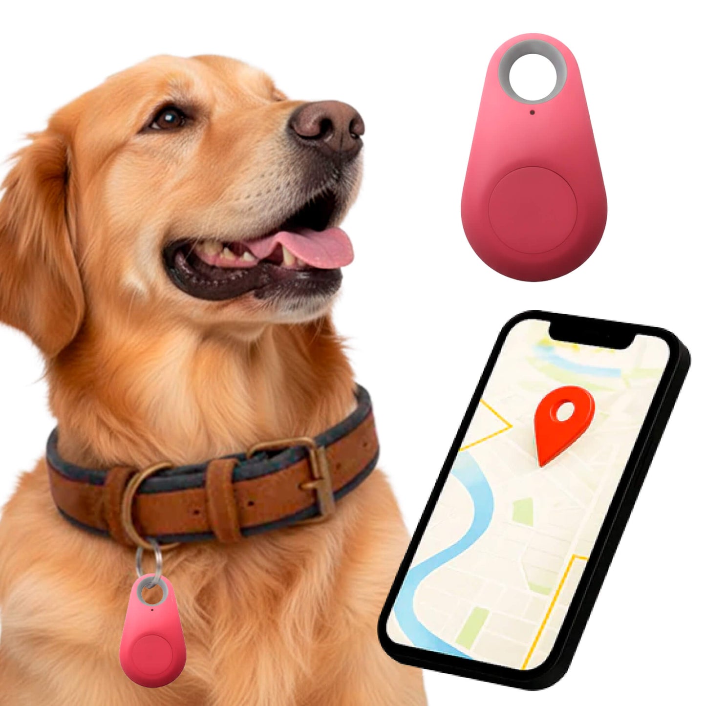 Traceur Chien Find My Sans Abonnement