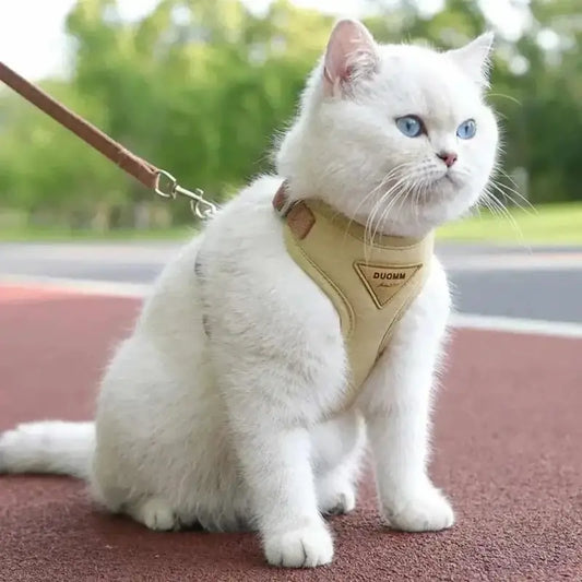 Harnais Chat Anti-Fugue Ajustable Confort