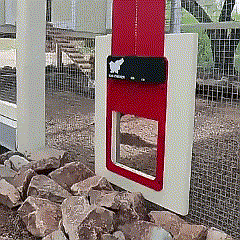 Porte Poulailler Automatique Capteur Lumière