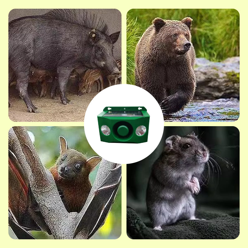 WildGuard Répulsif Solaire à Alarme | Dissuasion Animale Puissante